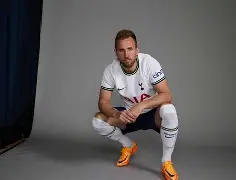 托特纳姆热刺比分