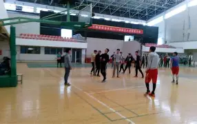 全民海岛开局签到火种源 全民海岛开局签到火种源